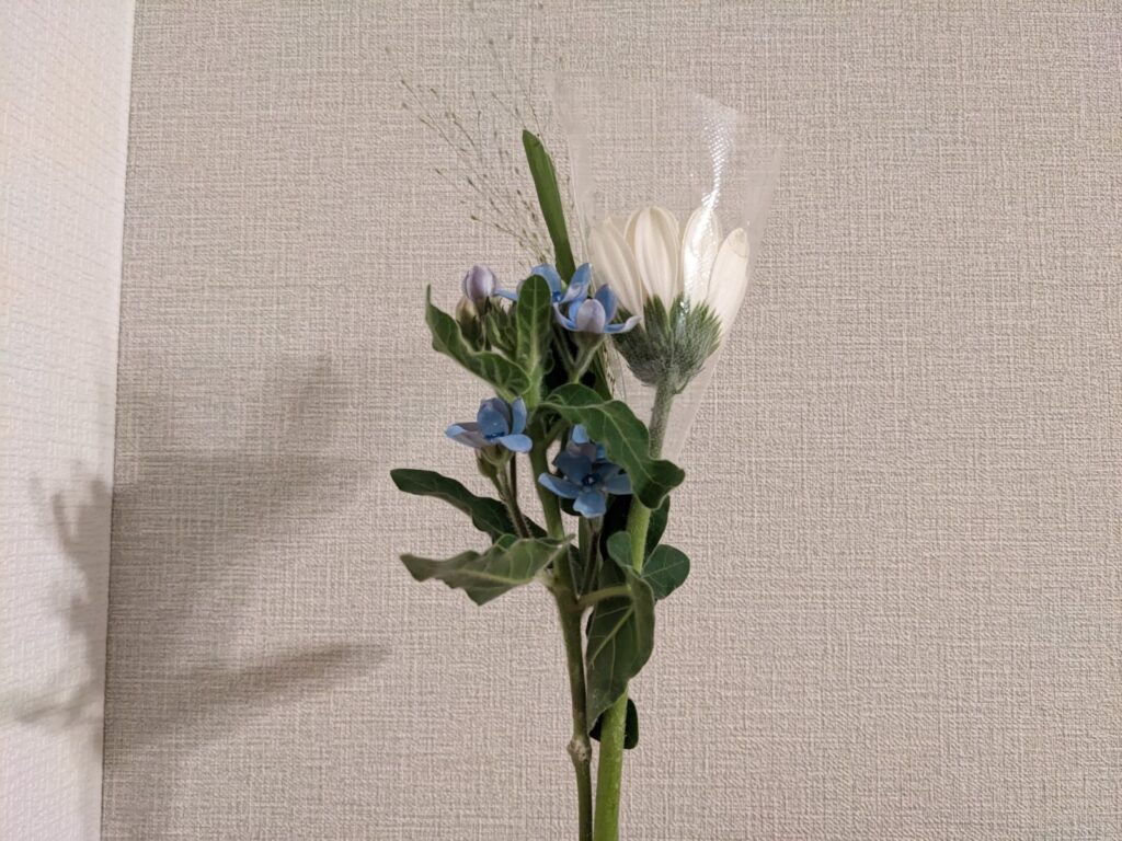 bloomee_レビュー_2023-02-09_04_2週目に届いたお花のアップ
